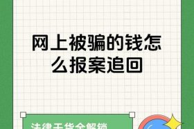 被电商平台骗了钱怎么办？，被电商平台骗了钱怎么办呢