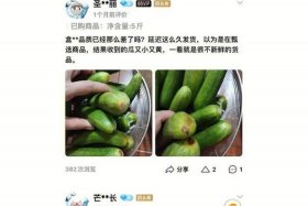 电商新秀百万后续（电商新秀百万后续怎么样）