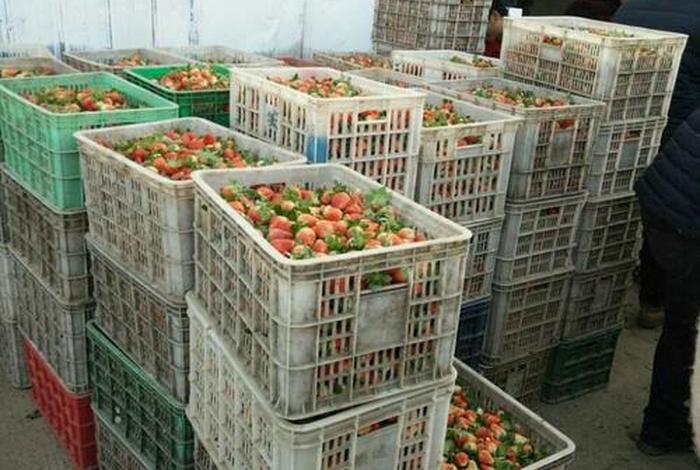 电商批发市场 电商批发市场有哪些