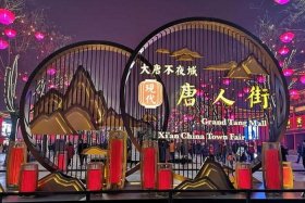 大唐商城平台、大唐商城平台官网