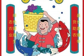 电商助农宣传标语，电商助农宣传标语怎么写