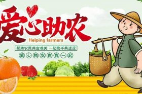 电商助农活动主题；电商助农 活动主题