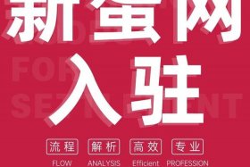 xy跨境电商 跨境电商newegg