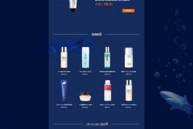 电商网站设计报告；电子商务网站设计报告