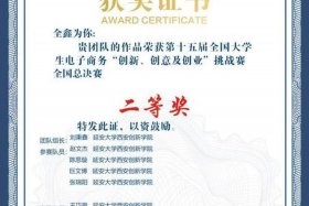 电商大赛优秀作品，电商大赛优秀作品怎么写