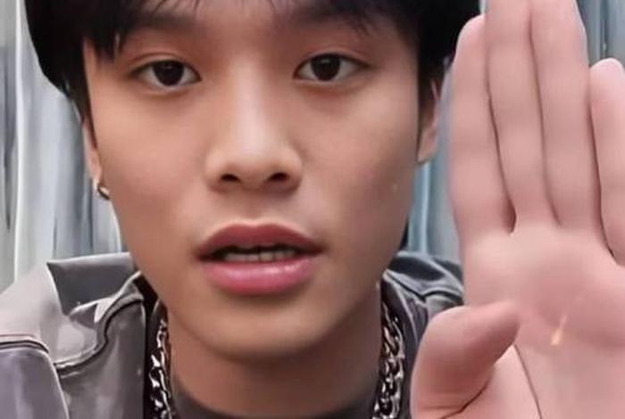 疯狂小杨哥电商直播发展趋势分析、疯狂小杨哥直播bgm 疯狂小杨哥电商直播发展趋势分析、疯狂小杨哥直播bgm