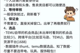 temu跨境电商怎么做，temu跨境电商怎么做？