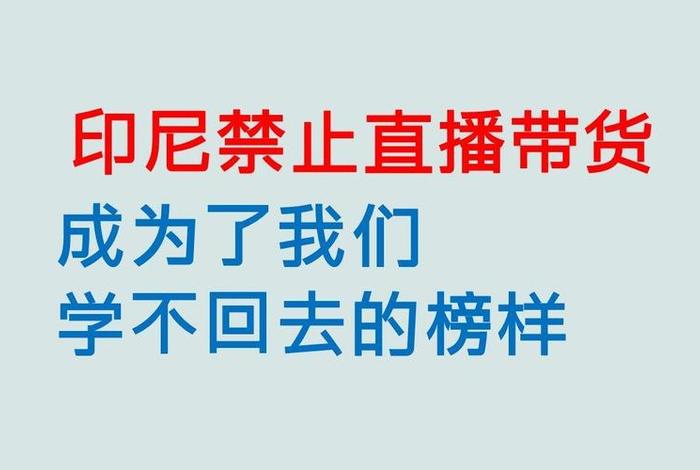印尼禁止电商直播带货;印尼禁止电商直播带货吗 印尼禁止电商直播带货;印尼禁止电商直播带货吗