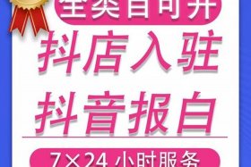 国内电商入驻（国内电商入驻抖音平台）