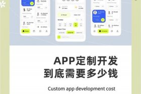 电商app开发定制什么价格（电商app开发定制什么价格合适）