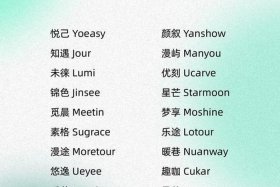 电商名字大全潮流（电商名字大全潮流女装品牌）