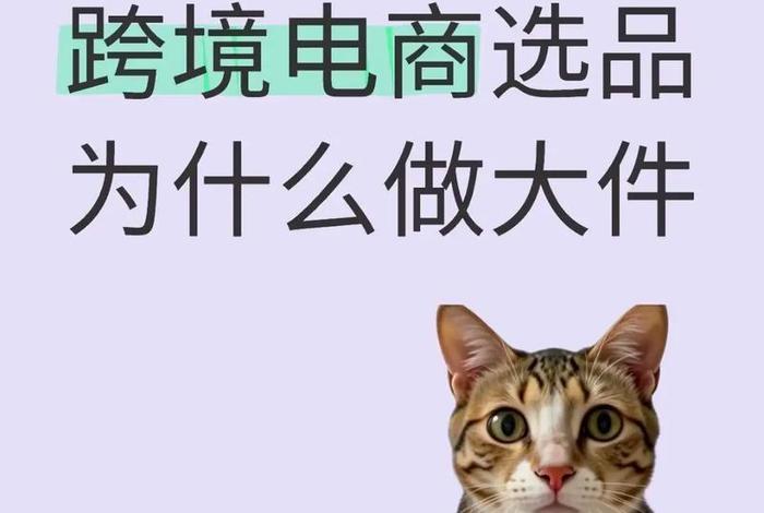 跨境电商做什么品类 跨境电商做什么品类能热销 跨境电商做什么品类 跨境电商做什么品类能热销