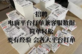 招聘电商数据采集；招聘电商数据采集工作