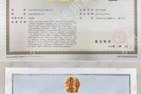 电商怎么弄营业执照、电商怎么弄营业执照流程