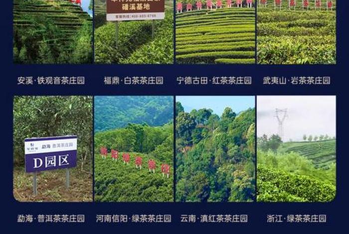 茶叶电商需要什么资质;茶叶电商需要什么 茶叶电商需要什么资质;茶叶电商需要什么