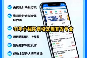商城app定制开发，商城app定制开发怎么做