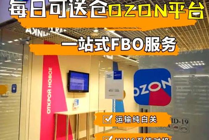 俄罗斯跨境电商平台选什么物流 - 俄罗斯跨境电商平台选什么物流公司