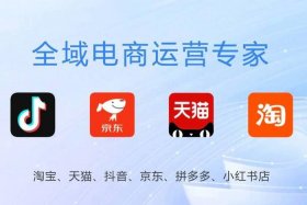 电商商城运营 - 电子商城运营