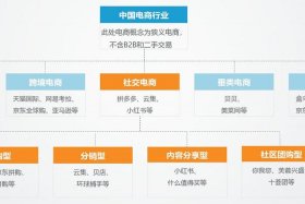 电商分类知识讲解 - 电商的分类有哪些内容