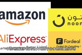 中东跨境电商网站是什么；中东跨境电商网站是什么公司