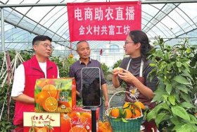 山西电商助农 电商助农平台