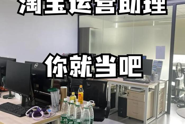 电商助理做什么、电商助理做什么工作