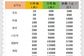 代运营电商公司排行榜京东（电商代运营公司十大排名）