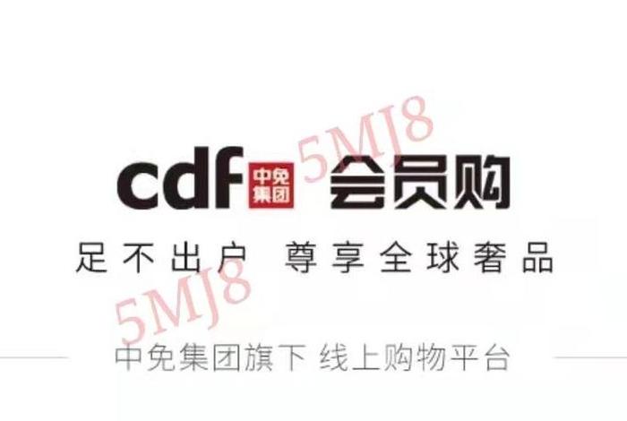 跨境电商个人额度查询入口；跨境电商个人额度查询入口官网