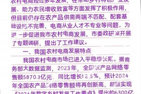 电商发展报告、电商发展报告怎么写