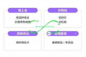 共享电商一天推2次流量怎么推，共享电商一天推2次流量怎么推的