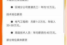 华能电商公司简介、华能电商公司简介概况