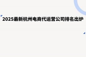 杭州电商代运营 - 杭州电商代运营公司有哪些