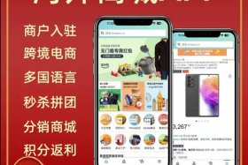 电商系统哪家好、电商哪个好