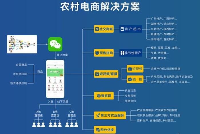 电商运营模式案例分析 电商运营模式方案 电商运营模式案例分析 电商运营模式方案
