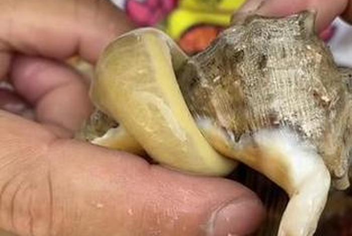 海螺电商平台登录入口官网 - 海螺电商平台登录入口官网手机版 海螺电商平台登录入口官网 - 海螺电商平台登录入口官网手机版