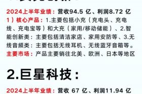 全国十大跨境电商上市龙头 - 全国十大跨境电商上市龙头企业