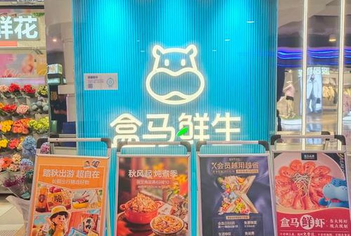 盒马鲜生电商(盒马鲜生电商产品的商业价值) 盒马鲜生电商(盒马鲜生电商产品的商业价值)