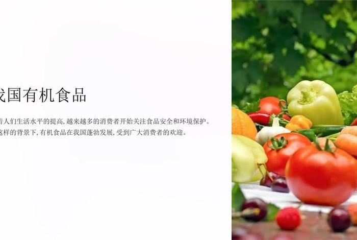 食品电商公司（食品电商公司产品发布会PPT）