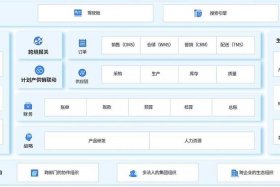 电商平台软件运营；电商平台软件运营模式