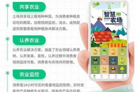 农业电商平台提供的服务，农业电商平台提供的服务有哪些