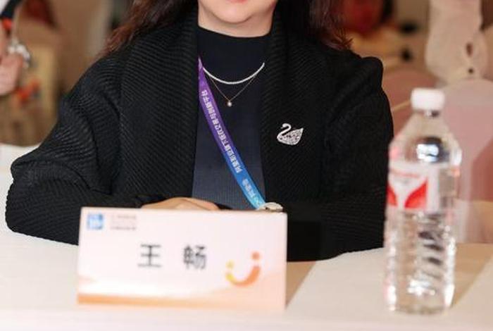 山东电商协会王畅(山东电商协会王畅副会长) 山东电商协会王畅(山东电商协会王畅副会长)