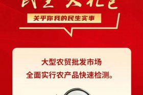 民生电商官网（民生电商官网下载）