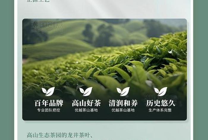 茶叶电商拿货渠道、茶叶电商拿货渠道怎么样 茶叶电商拿货渠道、茶叶电商拿货渠道怎么样