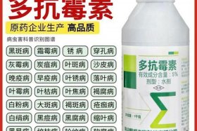 大丰收农资 大丰收农资农药公司