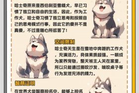 哈士奇电商插件怎么使用 - 哈士奇电商插件怎么使用教程