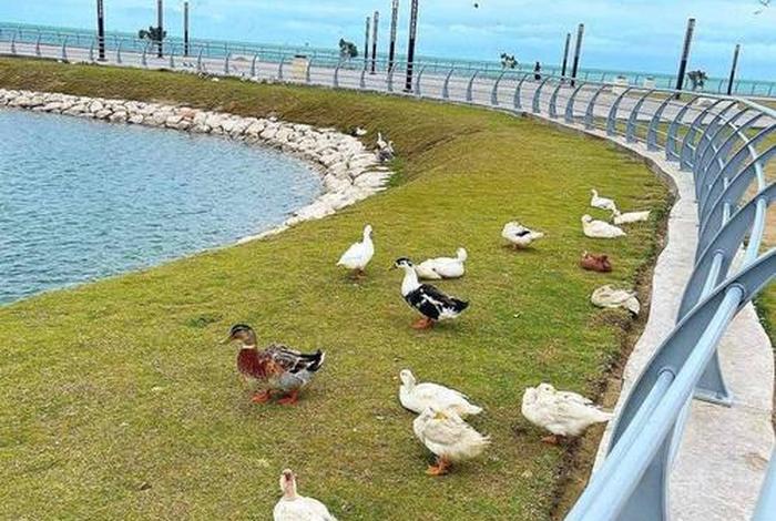 达漫电商管理系统 达漫电商钱可以拿出来吗 达漫电商管理系统 达漫电商钱可以拿出来吗