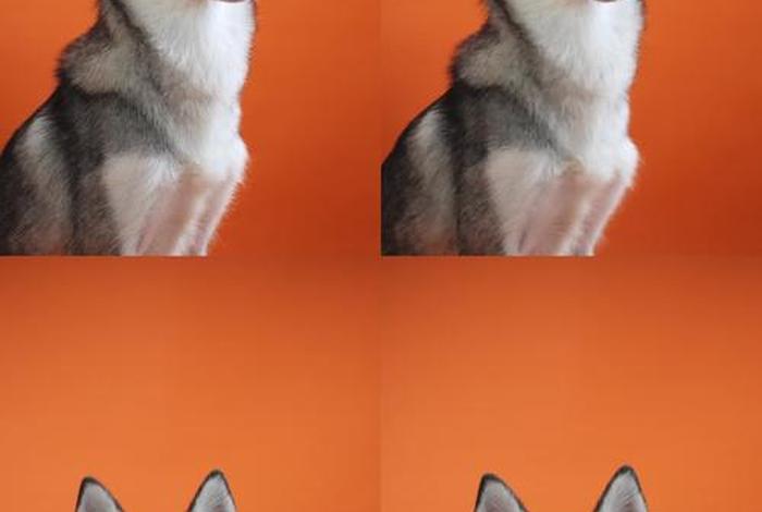 哈士奇电商插件下载,哈士奇电商插件下载官网 哈士奇电商插件下载,哈士奇电商插件下载官网