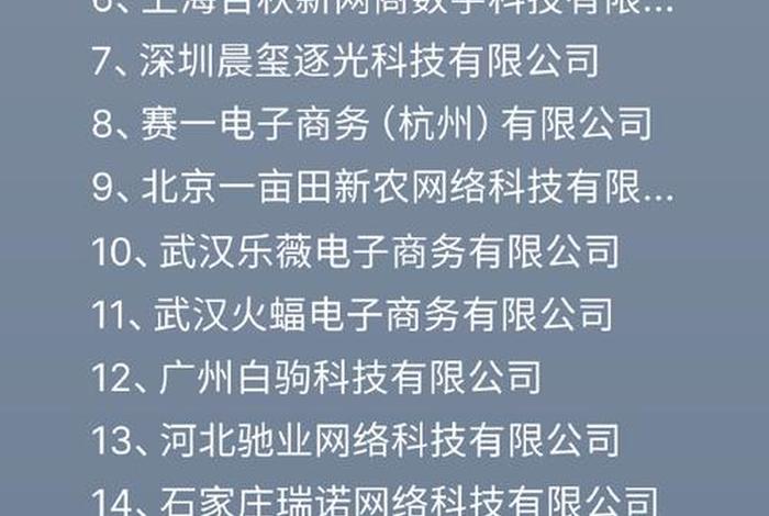 上海做电商的公司 上海做电商的公司排行榜 上海做电商的公司 上海做电商的公司排行榜