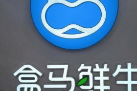 成都河马臻选电商；成都河马集团