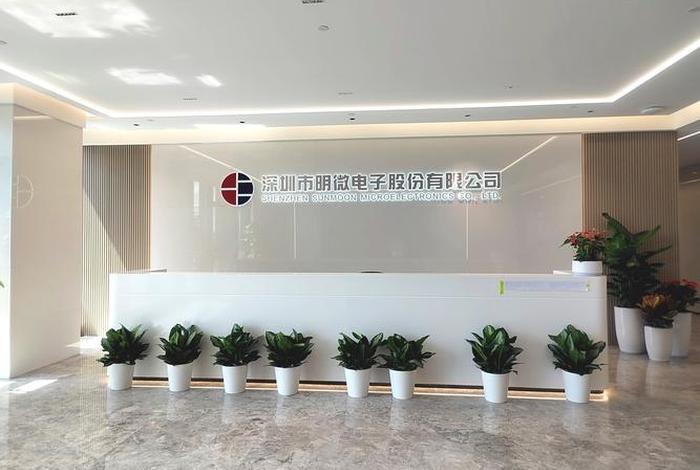 深圳电商公司名字，深圳电商公司名字带明